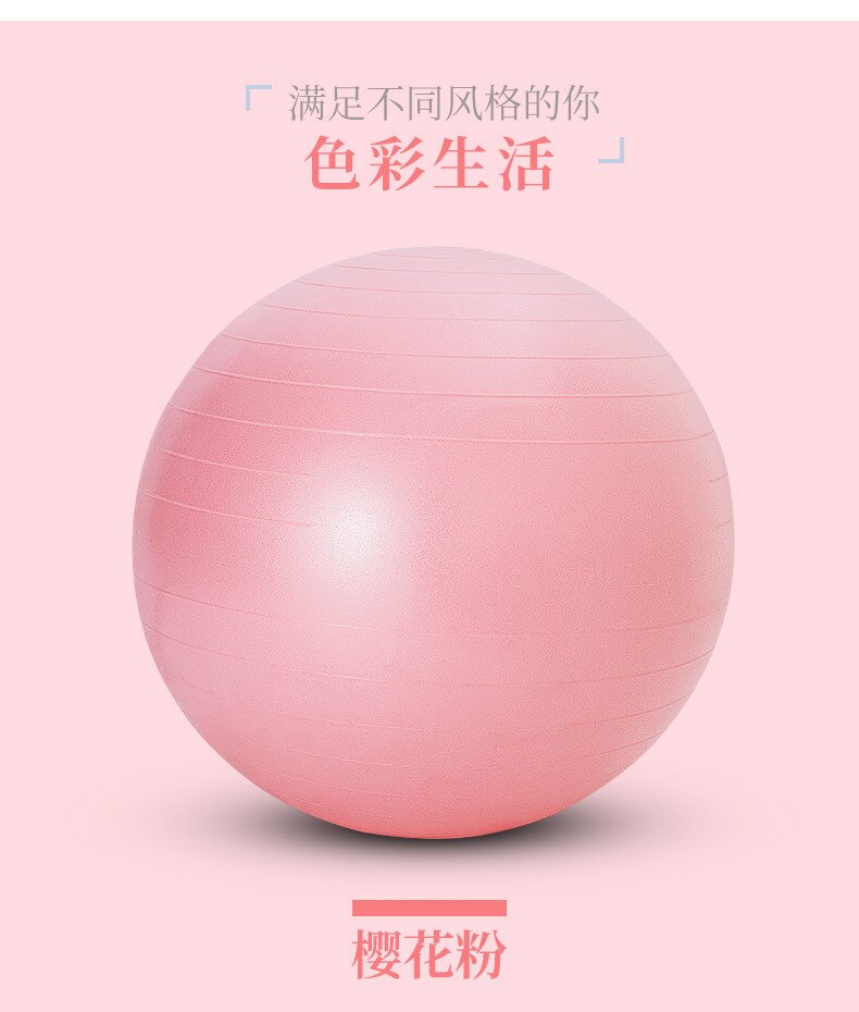 Sports Yoga Balls Bola Pilates Fitness Gym Balance Fitball Exercise Pilates Workout Massage Ball 55cm 65cm