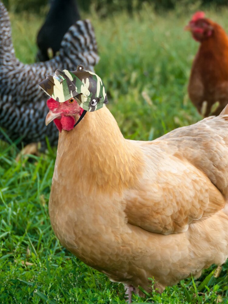 Pet Helmet Funny Chicken Helmet Head Protection Compact Chicken Hen Ducks Birds Hard Hat Pet Accessories Products