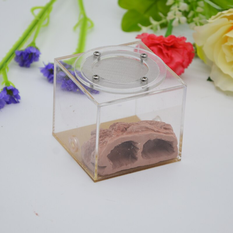 Imitation Ecological Ant Farm DIY Plaster Rockery Pet Ant Castle Landscaping Workshop Home Ants Farm House