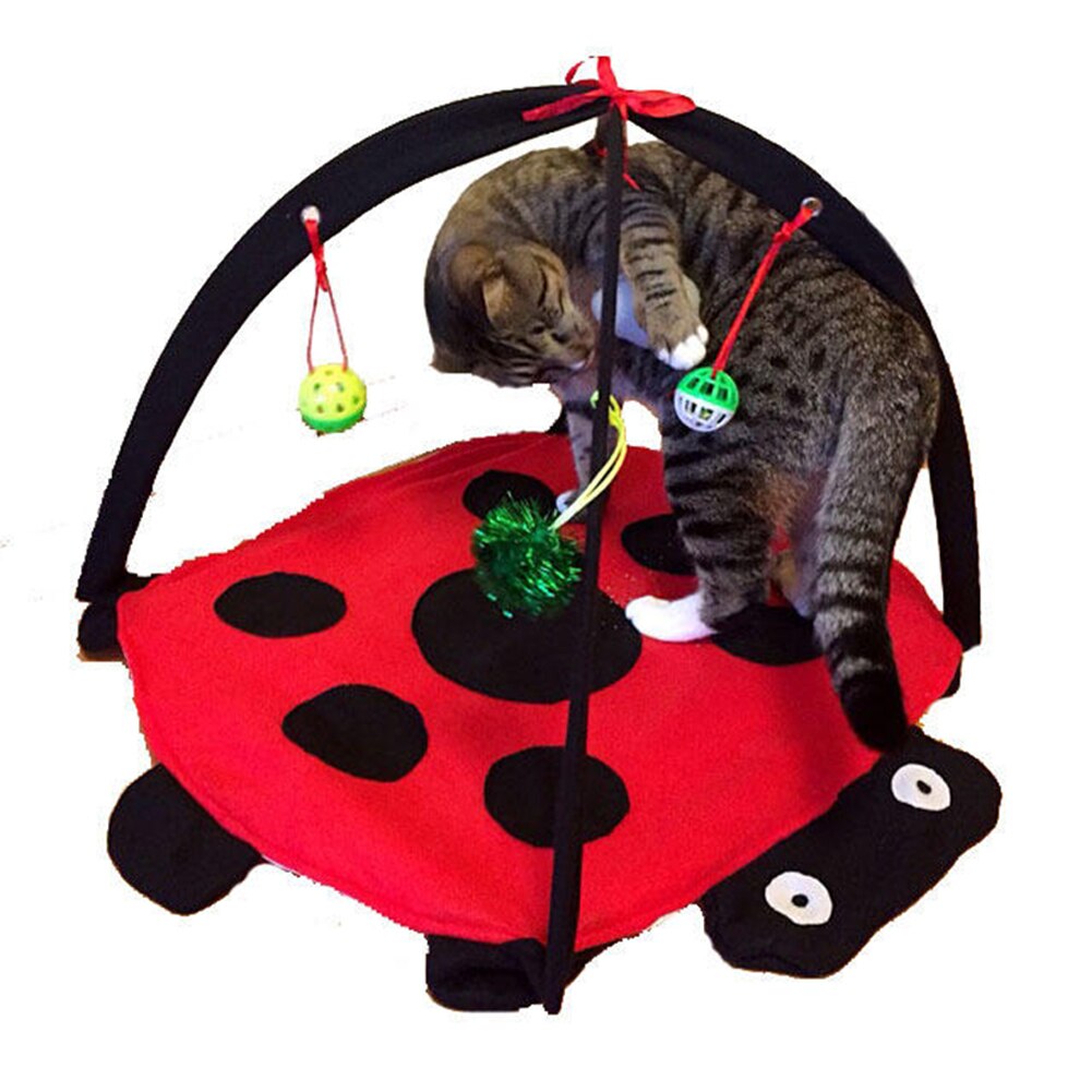 Play Foldable Shape Cat Supplies House Furniture Comfortable Hanging Funny Training Removable Pet Bed Toy