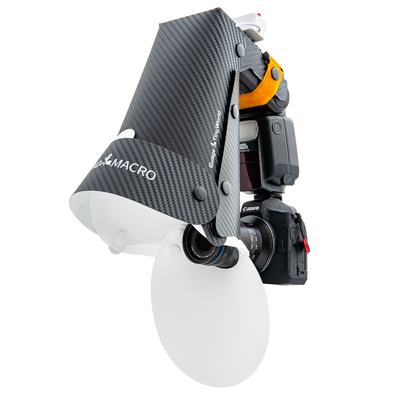Compacte Mini Macro Fotografie Gereedschap Accessoires Draagbare Speedlight Flash Diffuser Softbox voor Macro Sieraden Insectenschieten