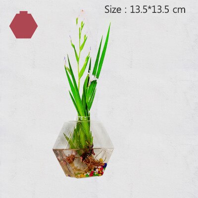 Europese glazen hydrocultuur wandbloemvaas, groene planten, wanddecoratie, aquarium, knutselen, scandinavische bloempot: 900- seconden
