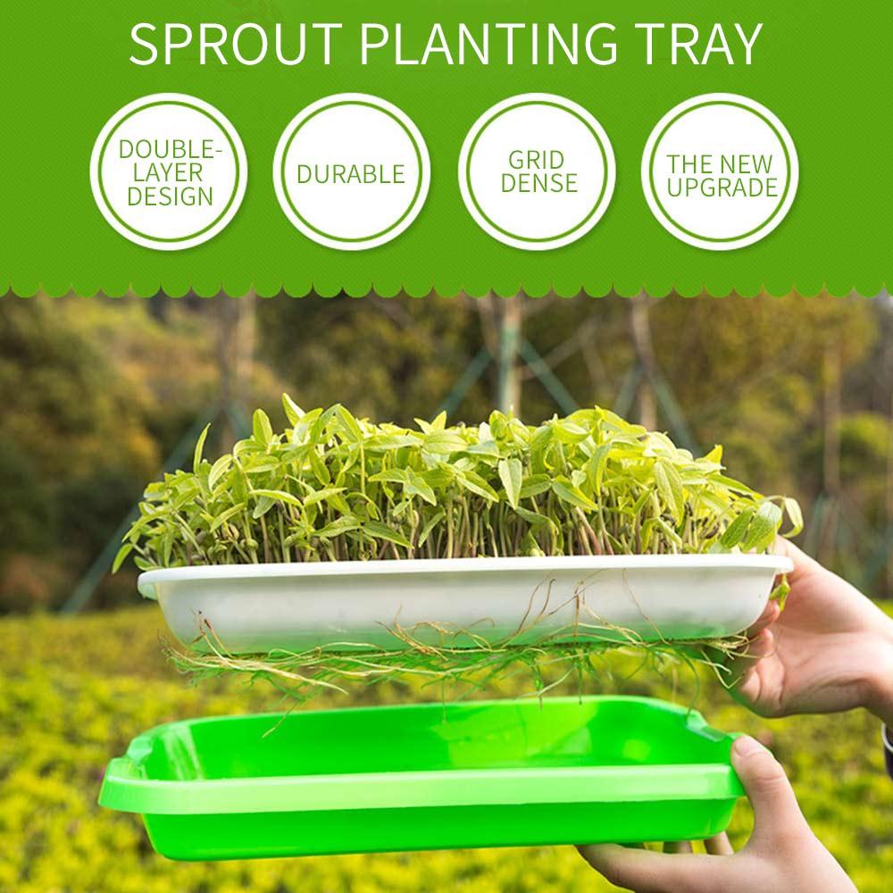 Sprout Grower Planting Containers Multifunction Seed Sprouter Tray Sprouters Grower Food Grade PP Plant Germination Trays
