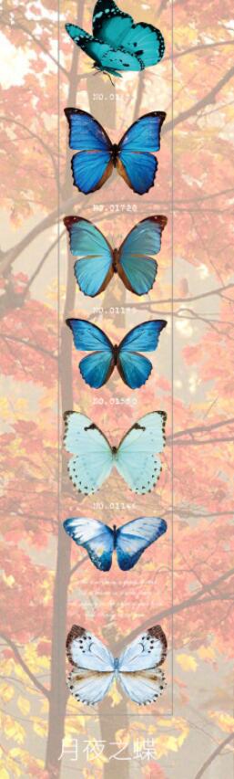 Vlinder Collector Series Leuke Dromerige Washi Masking Tape Stickers Bloem Scrapbooking Briefpapier Decoratieve Lange Strip Tape: 3