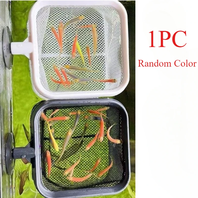 Rede de pesca de aço inoxidável, à prova de ferrugem, resistente à corrosão, para capturar peixes, camarão, tanque, acessórios de aquário: Verde claro