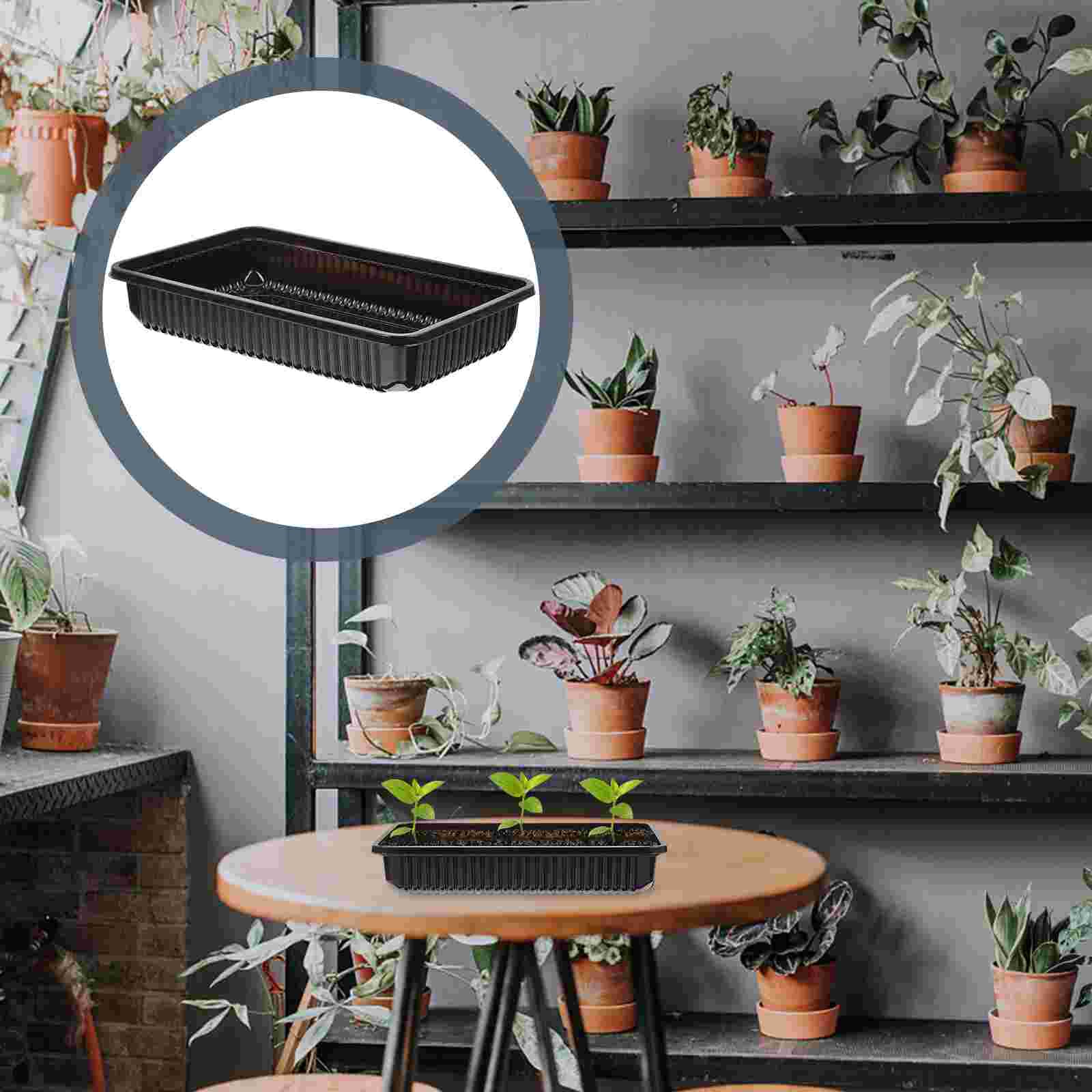 10Pcs Premium Nursery Tray Plant Flower Growth Tray Useful Gardening Tray: 17.8X105CM