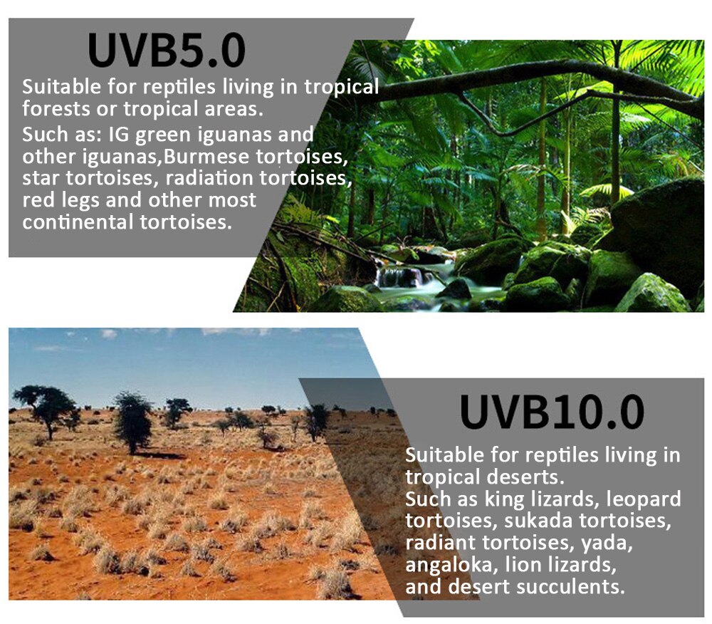Uvb 5.0 uvb 10.0 matelijalamppu kilpikonna uvb polttimo lisko käärme lguaanit lämpö kalsiumlamppu valo energiansäästö  e27 13w 26w 110v 220v
