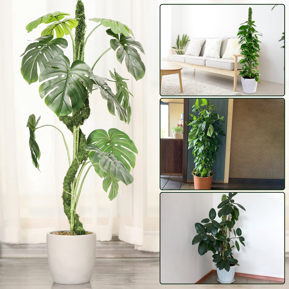 Mospaal Buigbare Plant Stakes Handgemaakte Slanke Monstera Plant Ondersteuning Mos Plant Sticks Ondersteuning voor Grote Indoor Pot