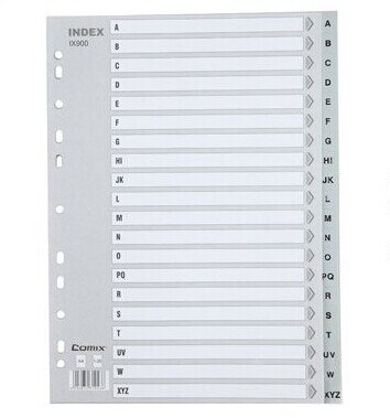 2 Pack/Lot Comix IX900 Paper index card A4 11 holes, for documents file display