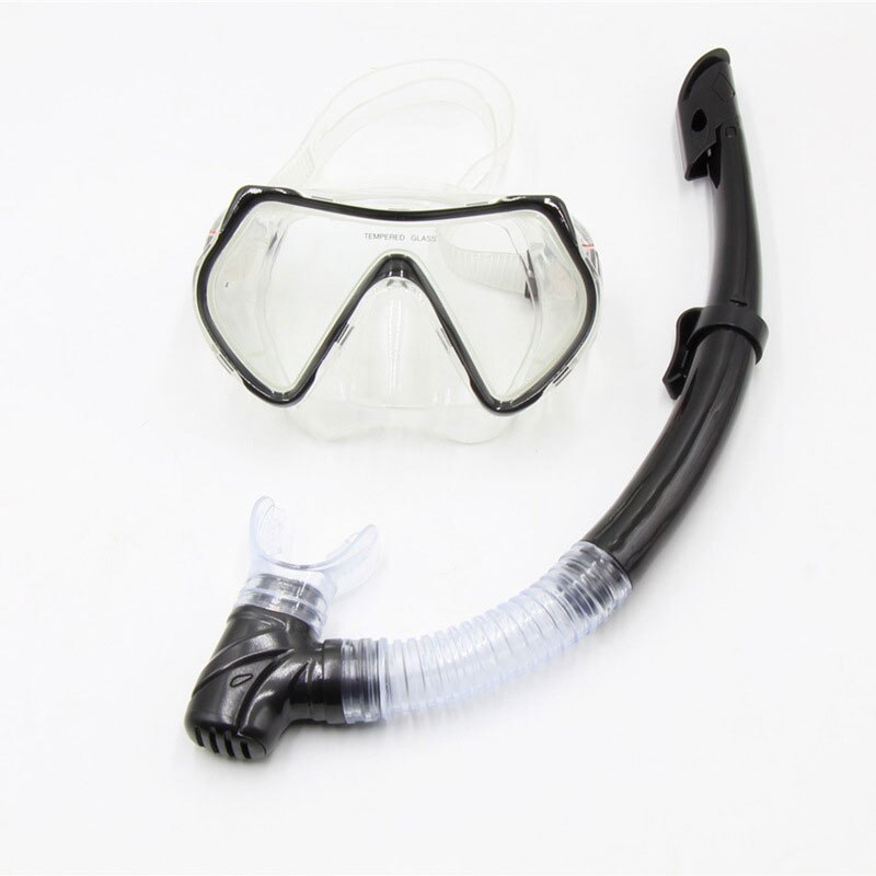 Snorkel Set - Adjustable Mask & Dry Top Snorkel - Diving Gear Kit