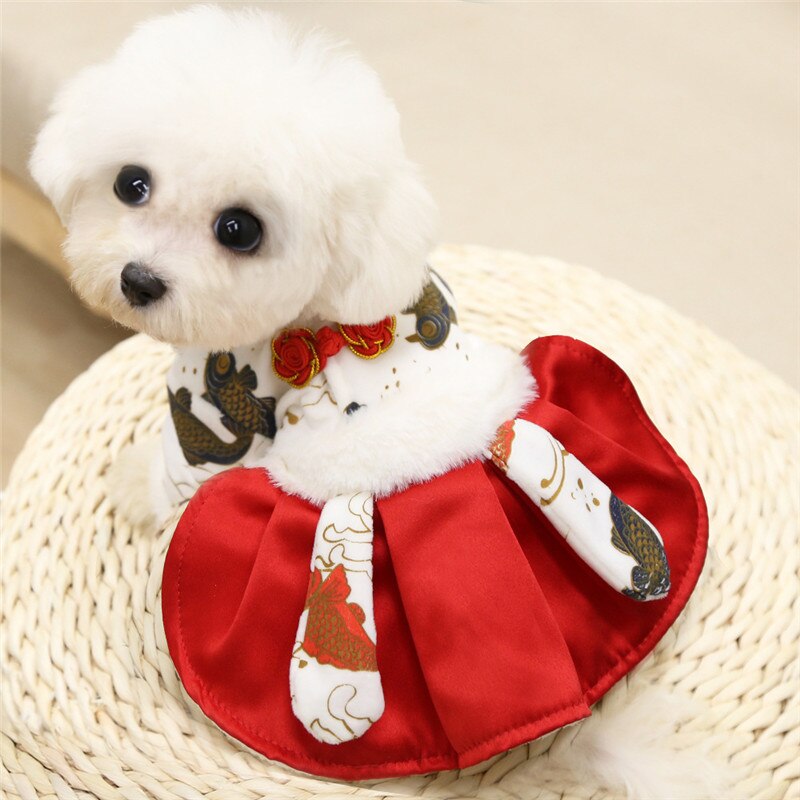Vestido de invierno de Año chino para perro, ropa para mascota, traje Tang Cheongsam, falda para cachorro y gato, vestidos de boda, traje para perro pequeño: M