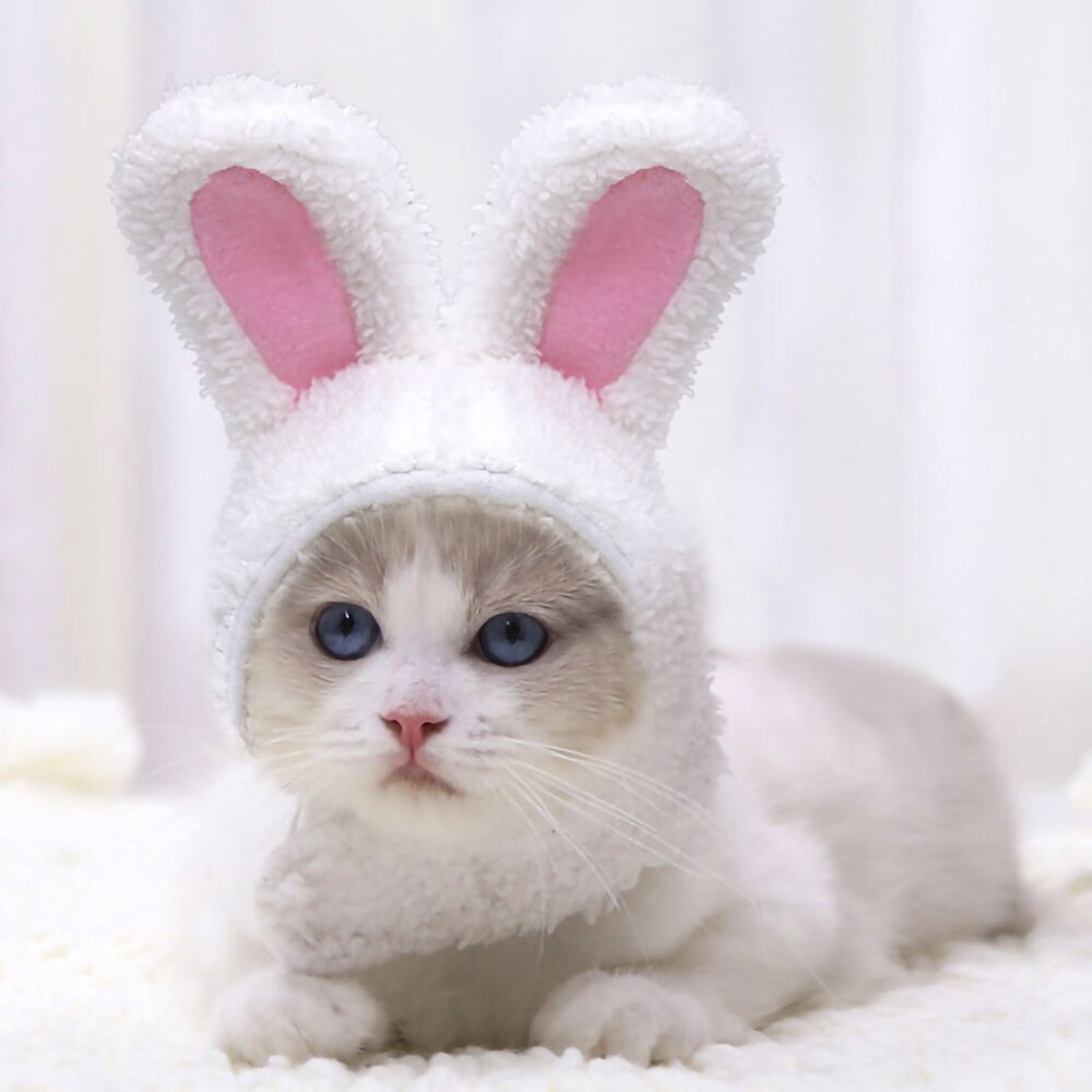 Cat Hat Bunny Rabbit Ears Headwear Kitty Cosplay Clothes Warm Costumes Dogs Kitten Party Costume Cute Adjustable Cat Accesorios