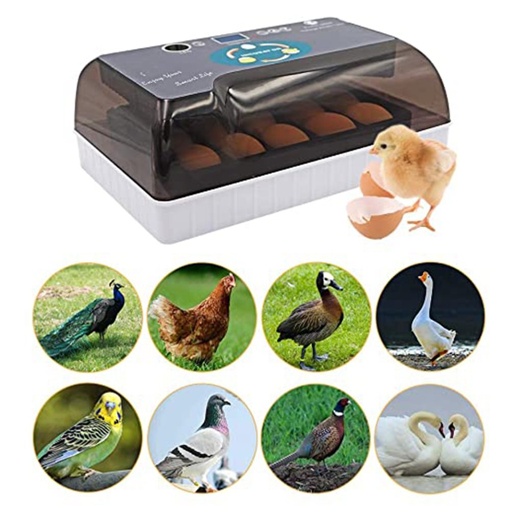 12 Eggs Incubator Bird Egg Incubator Semi-automatic Miniature Egg Incubator Pigeon Household Incubators