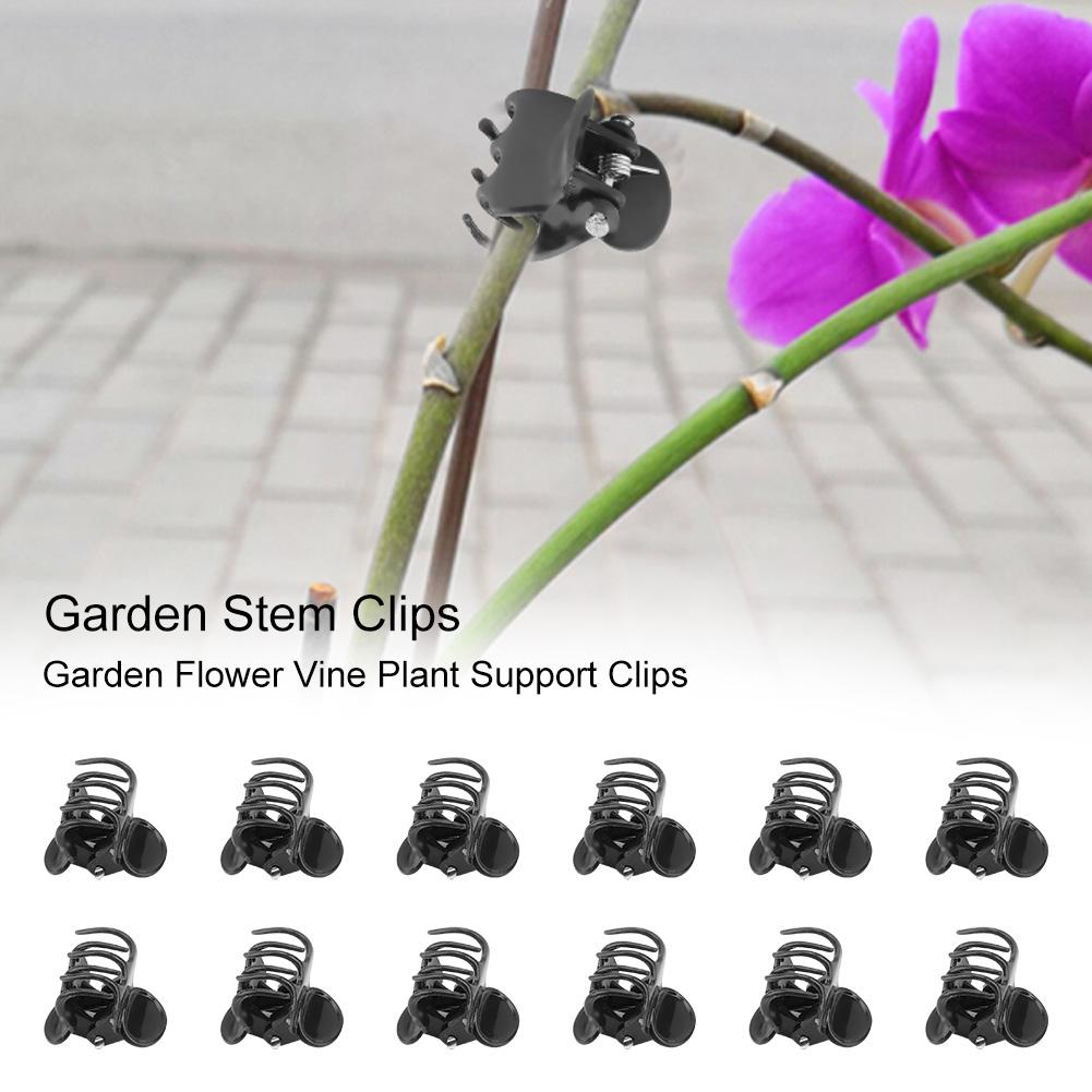 100 stk plast mini stilke blomster haveredskaber stilk klip vokse opretstående orkidé orkidé klip