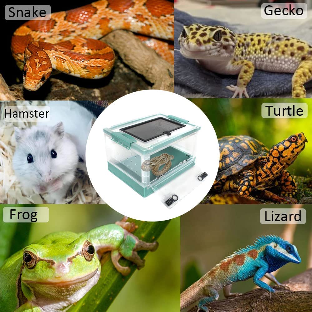 Reptile Terrarium Detachable Feeding Box Pet Breeding Tank Eco-Friendly Pet Breeding Cage Foldable Rearing Box For Lizard Geck
