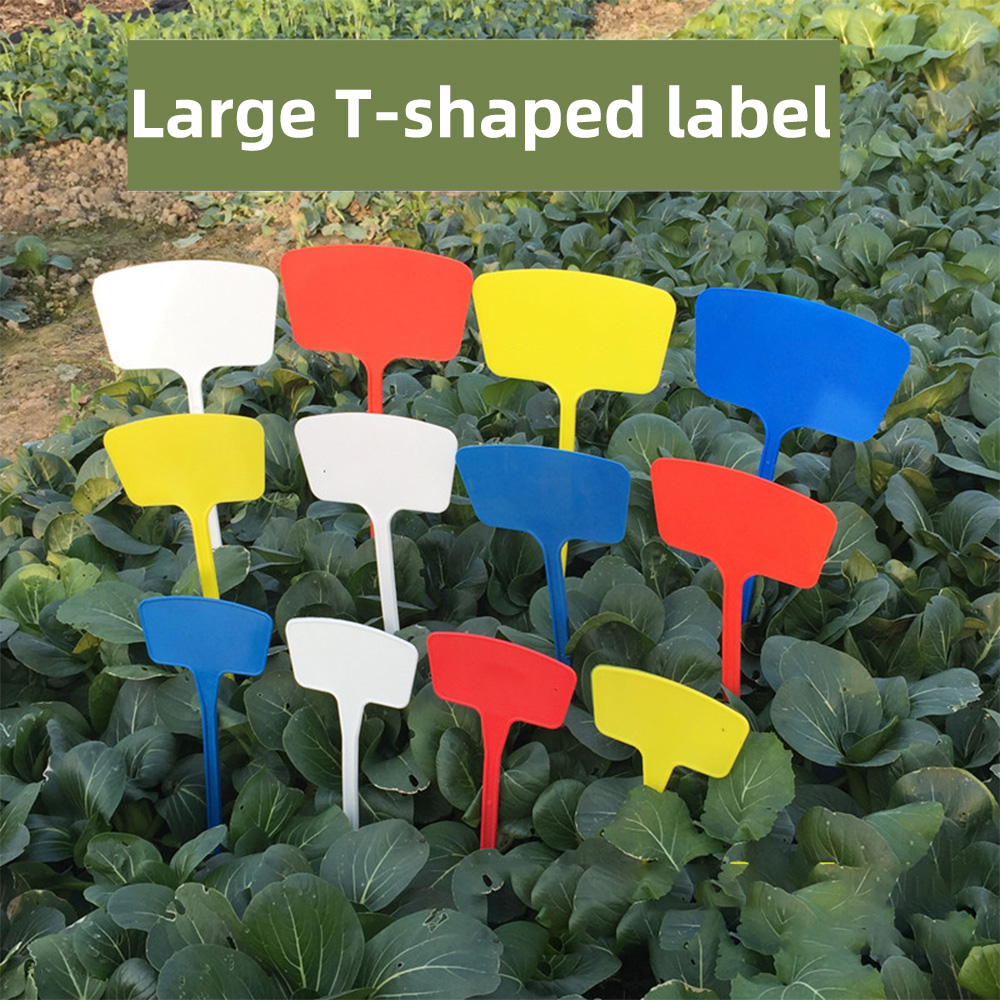 20Pcs 3Size Plastic Tuinieren Bloem Label Rood Wit Blauw Geel Plant Marker Planten Struik Teken Classificatie Tool Voor tuin