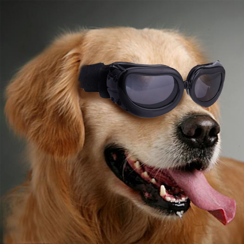 4 farver kæledyrshund solbriller solbriller kæledyr kat briller øjenbeklædning hvalp sød øjenbeskyttelse kæledyrsplejetilbehør