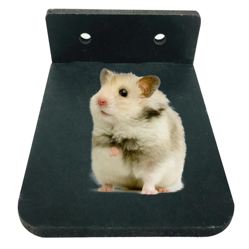 Plataforma de juegos de hámster de plástico, juguete para hacer ejercicio, soporte de madera para loros, suministros para mascotas pequeñas, 1 unidad: Black