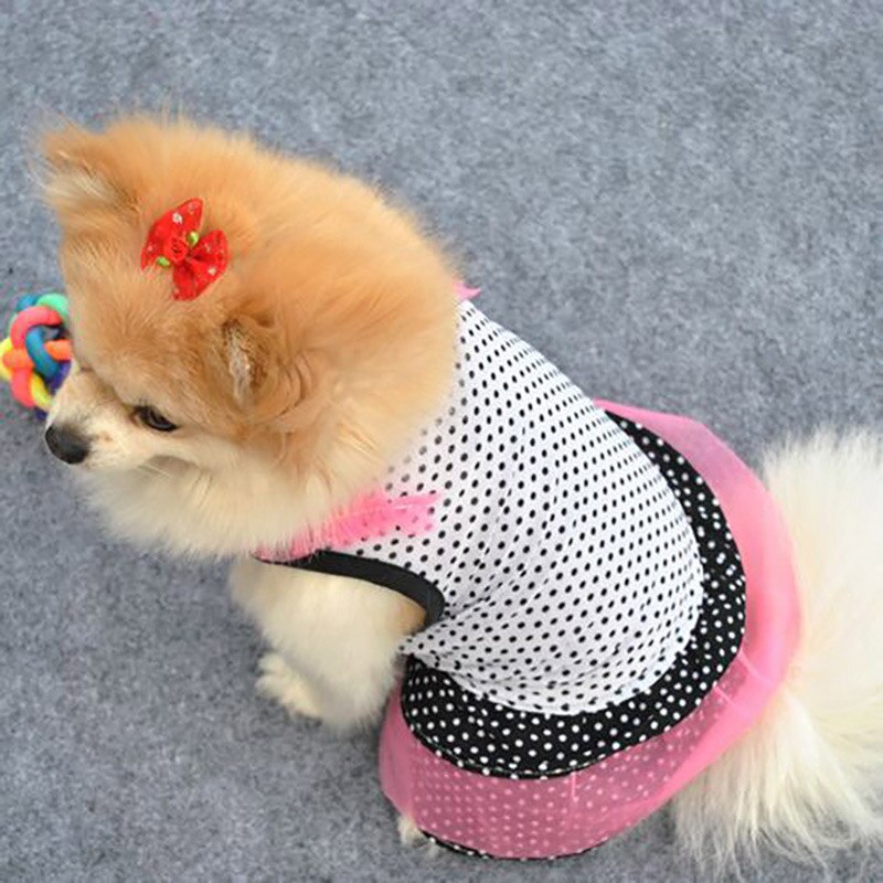 Shih tzu-robe pour chien à pois | Vêtements pour petits chiens, jupe Tutu pour chiot, robe pour chat, robes de mariage pour chiens, vêtements d'été pour caniches et animaux de compagnie