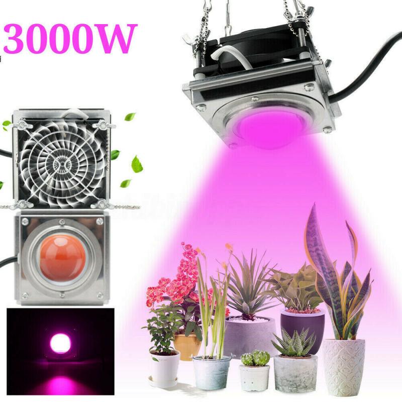 50W COB LED Grow Light Full Spectrum Growth Lamp Cooling Fan Hydroponic Plant Light Bulbs That Promote Photosynthesis In Plants