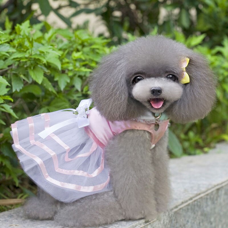 Jupe princesse pour chien, vêtement pour animaux de compagnie, rouge uni, avec nœud ruban en Polyester, robes chics pour filles, printemps/été: Rose / XL