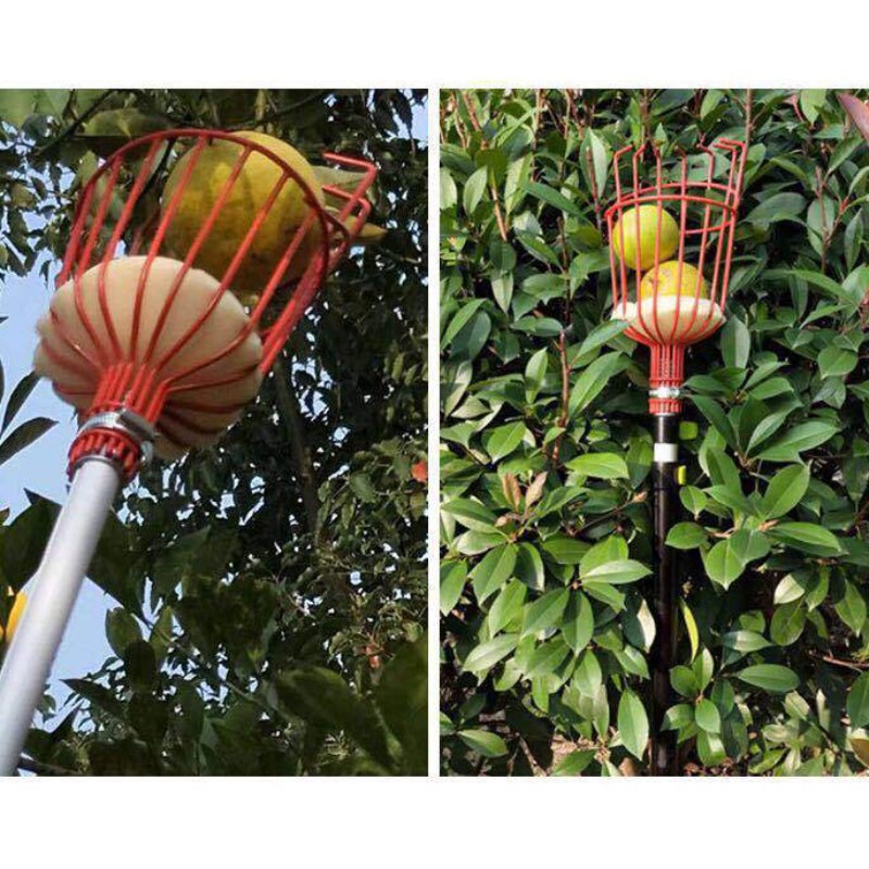 Fruit Picker Tool Harvester Basket With Cushion Harvesting Tool Gardening Supplies,