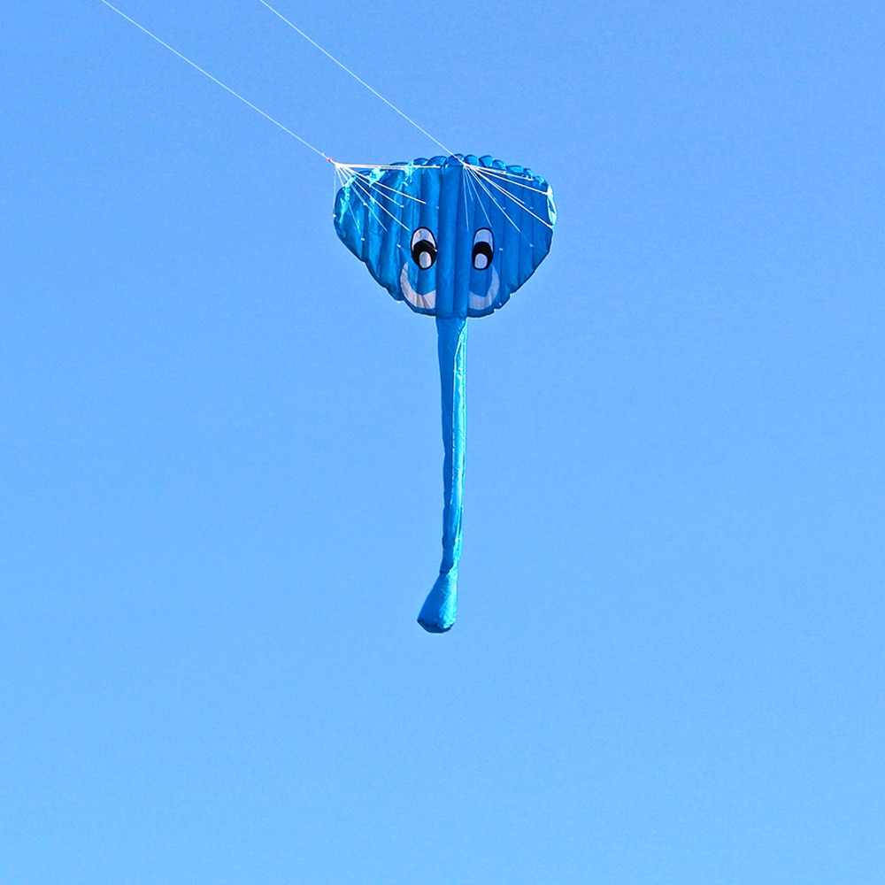 140 x 70cm flyvende drage rammeløs blød dual line stunt elefant parafoil drage kæmpe faldskærm sport strand flyvende drage