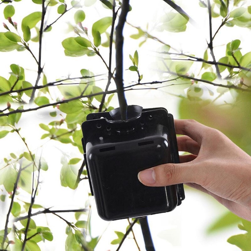 Boîte de greffe de balle de propagation à haute pression d'équipement d'enracinement de plante réutilisable