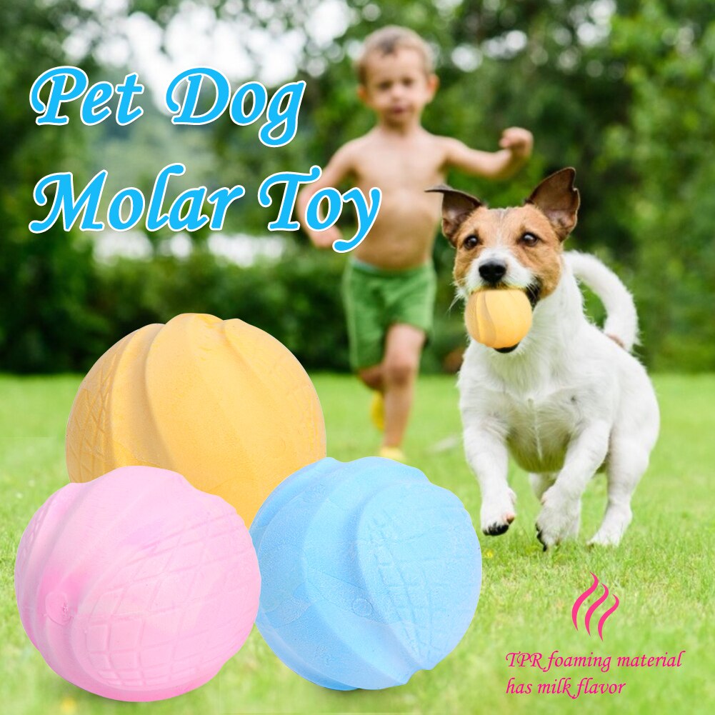Snoep Kleur Bite Speelgoed Schuim Molaire Kauwen Schoonmaken Puppy Bal Hond Huisdier Tanden Tpr Spelen Training Grappig Kauwen Levert