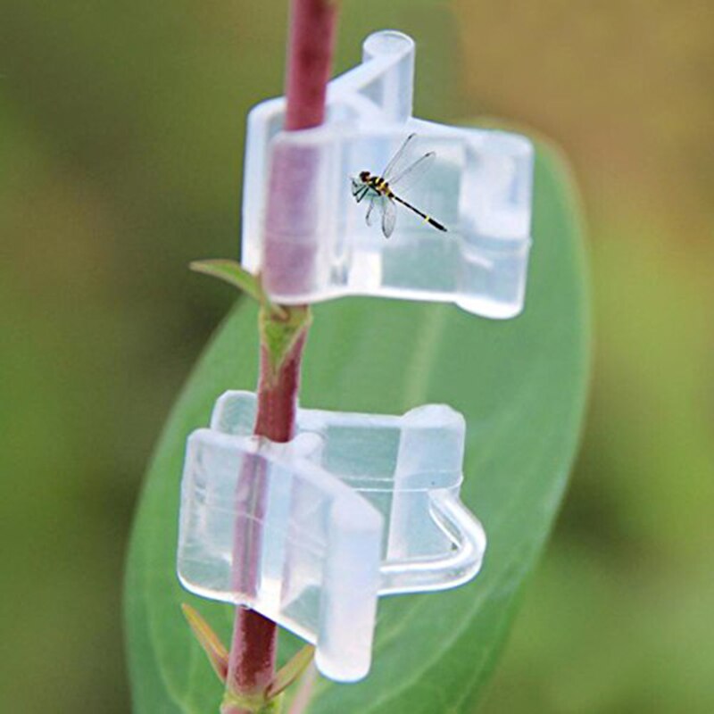 Pinzas para Injerto de frutas y verduras, herramientas para plántulas de plantas de jardín, 100 Uds.