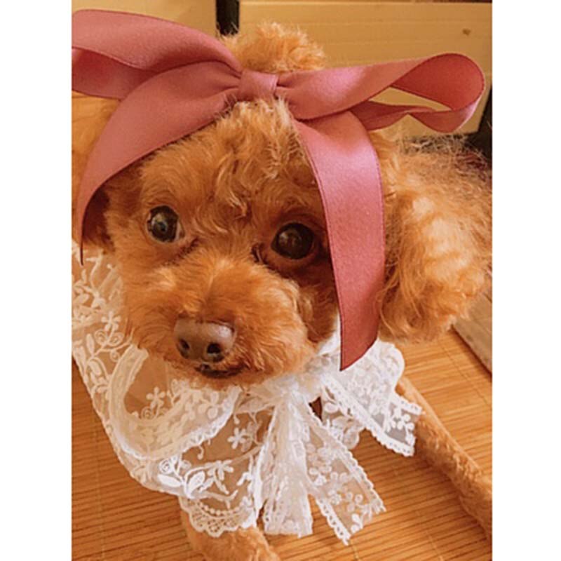 Huisdier Zomer Cooling Sjaal Kat Hond Speeksel Pocket Teddybeer Hond Sjaal Driehoek Sjaal Kant Puppy Speeksel Handdoek Huisdier Accessoires