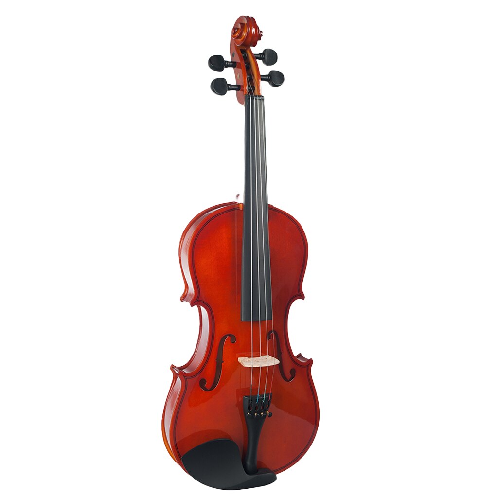 Lovoski Acoustic Violin 4/4 Full Size Wood Fiddle with Bow Carry Case