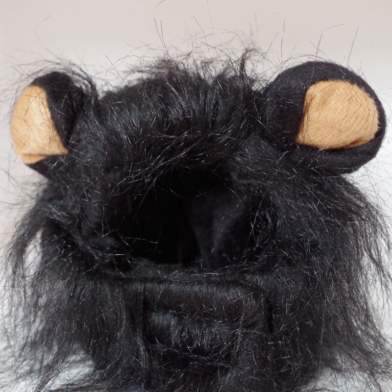 Accessori per copricapo per cuccioli di gatto accessori per parrucca di leone imitazione di animali domestici per gatti e cuccioli per vestire forniture di copricapo interattivi: Black