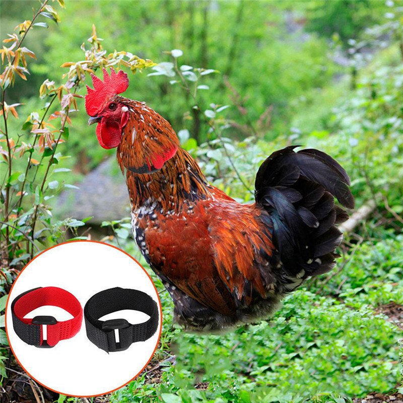 2Pc Rooster Noise-Free Anti-Hook Neckband Collar 2pcs Rooster Neck Collar Supplies Nylon Collar Rooster Supplies