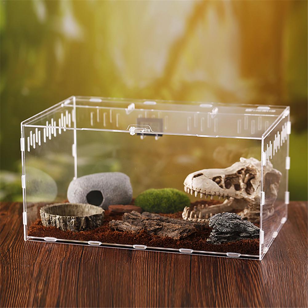 Avlsboks krypdyr fôringsboks akryl terrarium edderkopp til klatring kjæledyr terrarium slange edderkopp øgle skorpion tusenbein