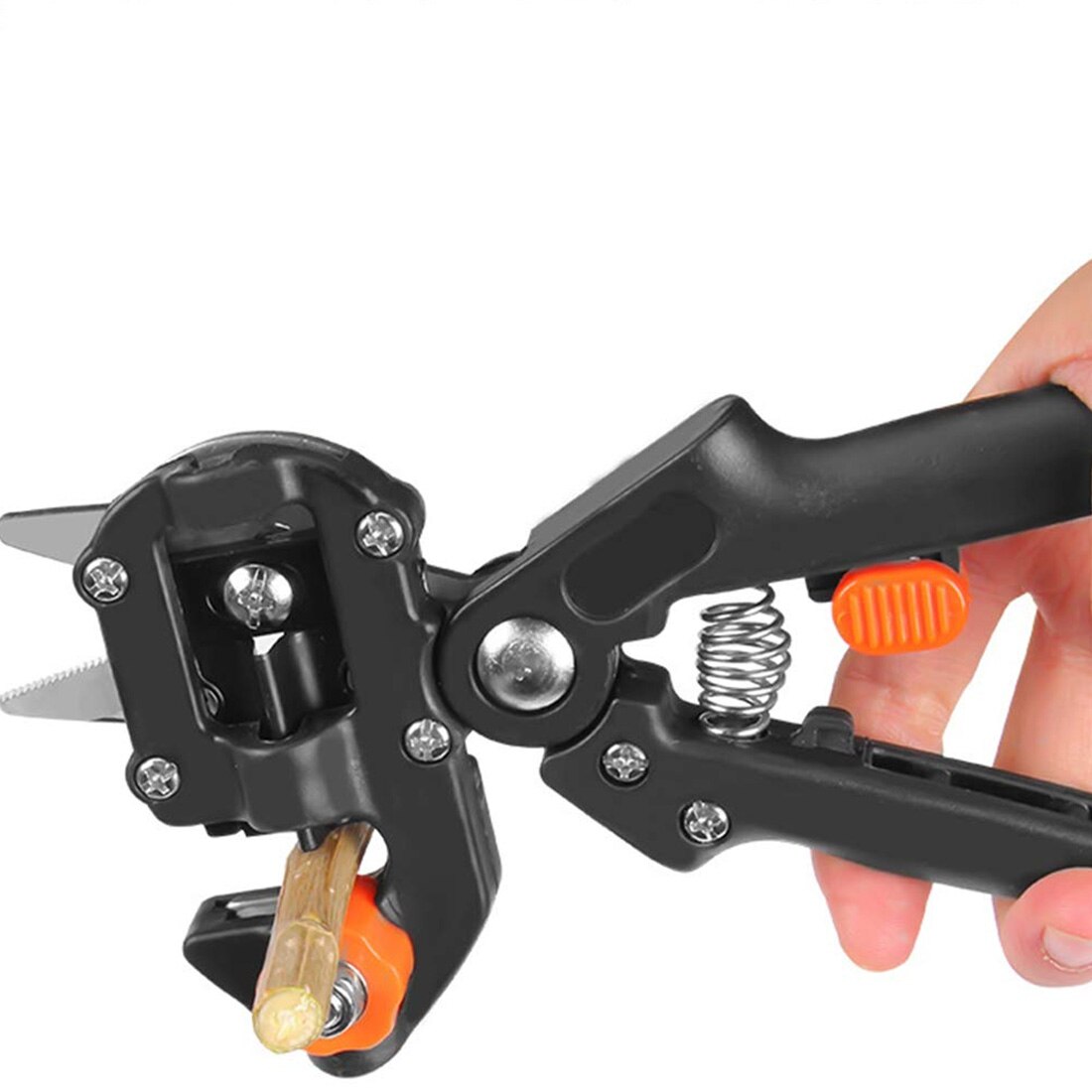 Pruning Cutting Grafting Shears Tree Pruning shears Household Garden shears garden tools Boxes