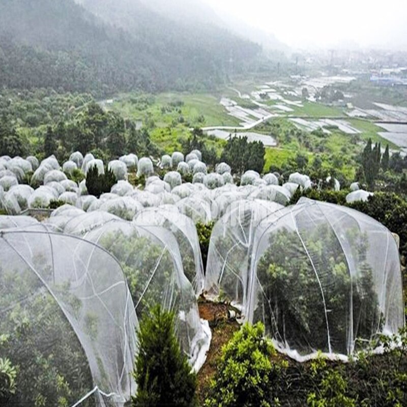 Malla de 40 para invernadero de 2x5m, mosquitera para jardín, fruta, vegetales, red de protección, cubierta para planta