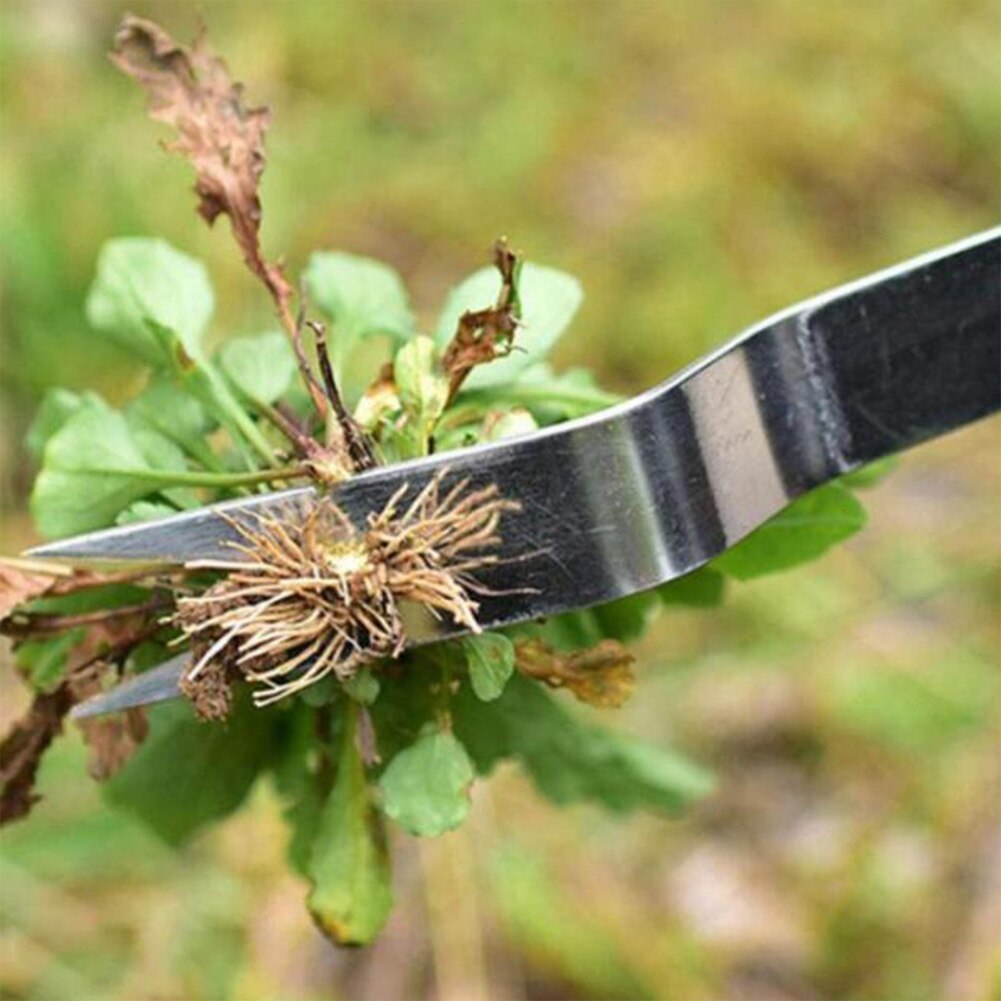 Eosnow Forca Da Scavo Acciaio Ad Alto Tenore Di Carbonio Forte Resistenza Prevenzione Della Corrosione Anti Rottura Vanga Da Giardino 5 Denti
