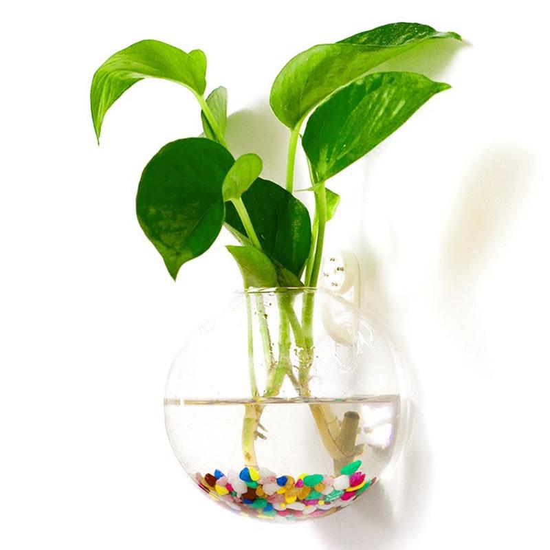 Pot Plant Wall Hanging Fish Bowl Aquarium Tank Aquatic Pet Supplies Pet Products Wall Mount Fish Tank Home Decoration