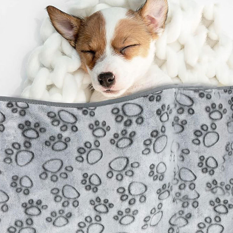 Couverture douce et moelleuse pour chien et chat, couverture apaisante pour animaux de compagnie, confortable et chaude, petite couette lavable, motif de dessin animé, tapis de couchage pour chiot et chat
