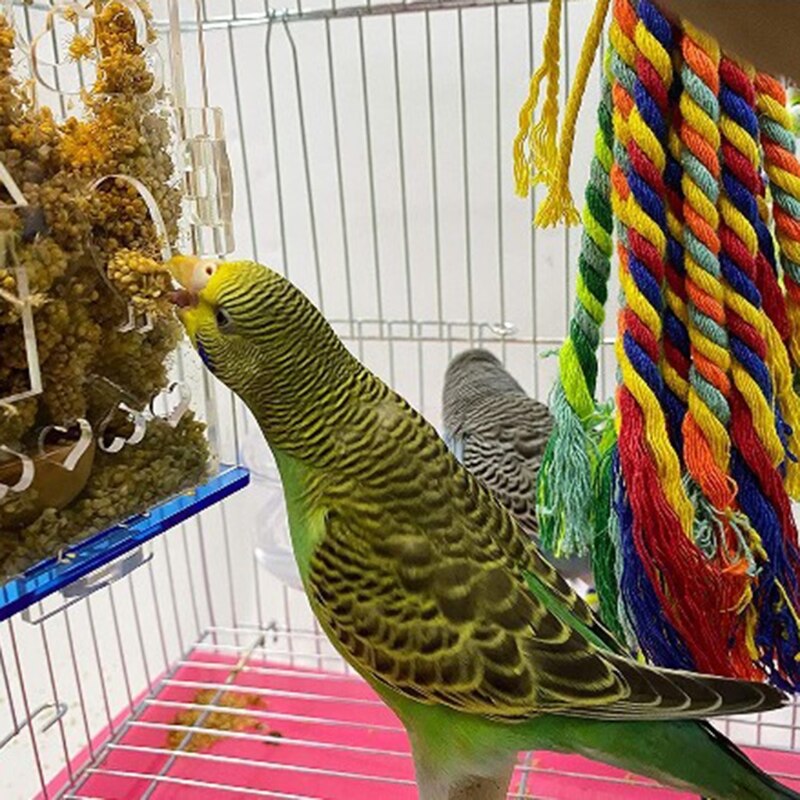 Bird Foraging Toys Parrot Feeder Intelligence Cage Acrylic Food Box Swing Rope Toys Millet Container for Cockatiel Conure Reliev
