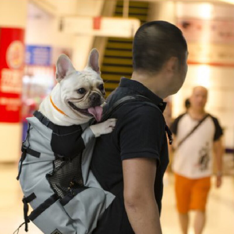 Pet Dog Carrier Bag for Large Dogs Outdoor Backpack Adjustable Big Dog Travel Bags Carrying Bag Pet Supplies