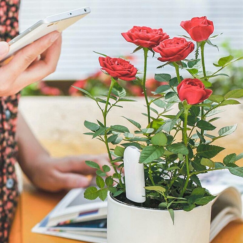 Xiaomi – moniteur numérique mi HHCC pour plantes, soins des herbes et des fleurs, testeur d&#39;eau du sol, capteur, détecteur de plantes