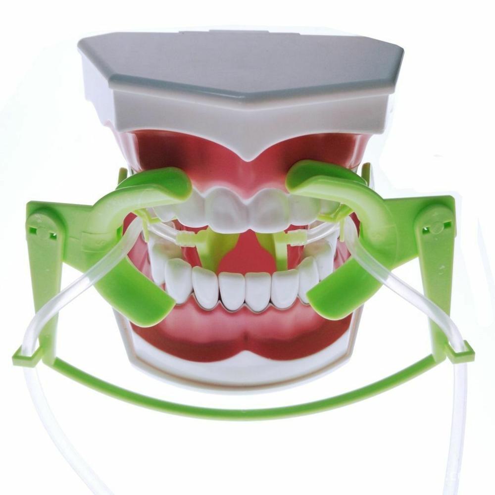 Tandheelkundige Orale Droog Veld Nola Lip Cheek Retractor Speeksel Uitbreiden Groen Kinderen Ce Fda Goedgekeurd