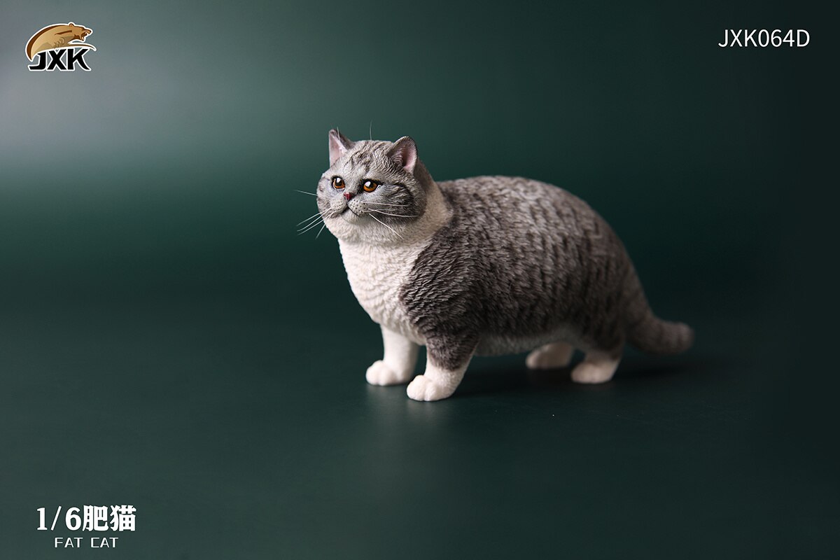 JXK Maßstab 1:6 Fett Katze Abbildung Nette Pet Tier Modell Sammler Kinder Spielzeug Desktop Decor Kurzhaar Katze Trendy Ornamente: JXK064D