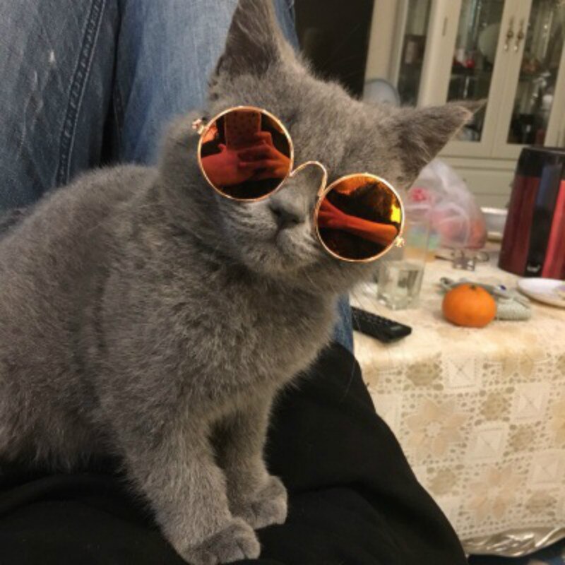SUEF 1pcs di vendita Caldo del cane e del gatto occhiali occhiali da sole per bambini fotografia puntelli carino fresco accessori per animali domestici @ 02