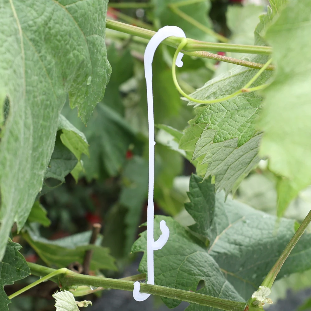 Ganchos en forma de J para soporte de tomate, 100/1 Uds., plantas vegetales reutilizables, enrejado, enredaderas, ganchos de hebilla fija para suministros de jardinería