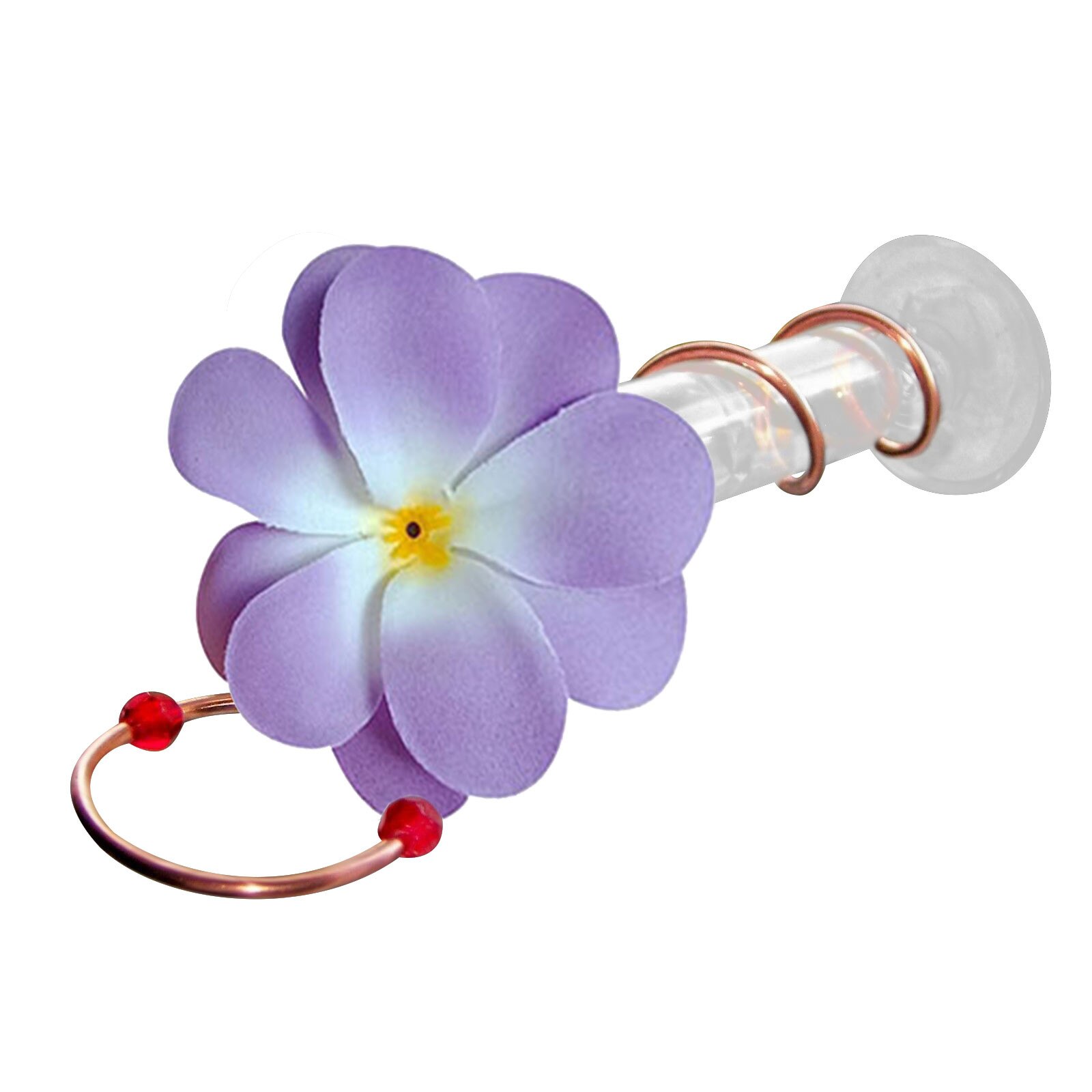 Courtyard Bird Feeder Red Berries Humming Bird Feeder 3 Feeding Bottles Berries Humming Bird Feed Seed Accessories: D