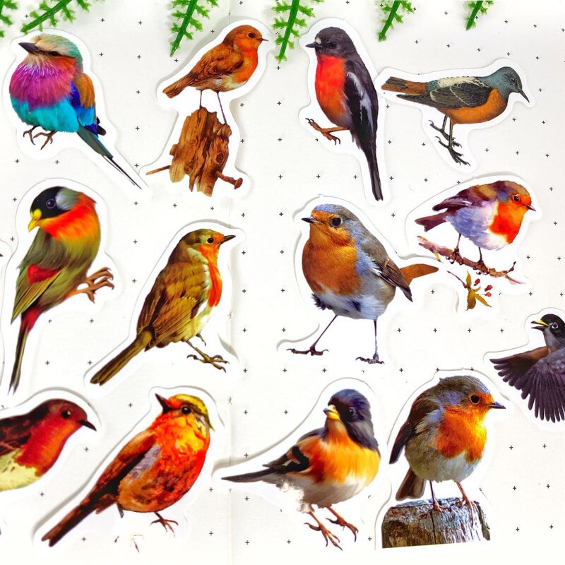 40Pcs/Pack Cute Birds PVC Waterproof Sticker DIY Craft Scrapbooking Album Junk Journal Planner Decorative Stickers