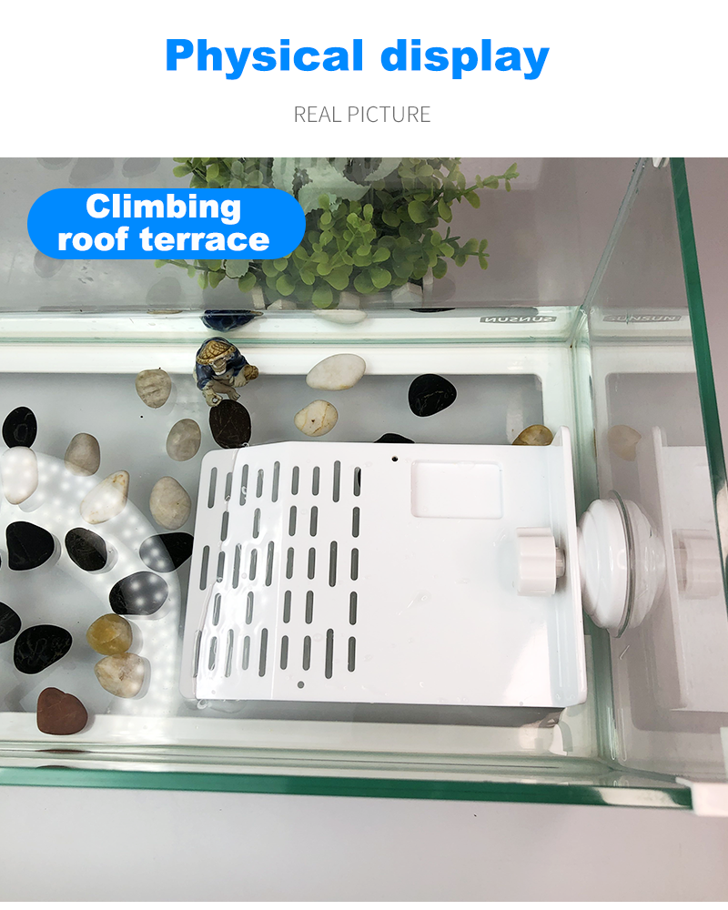 Turtle Basking Platform Turtle Tank Platform Aquarium Animal Sink Wharf Reptile Habitat Climbing Floating Shelf with Sucker Cap